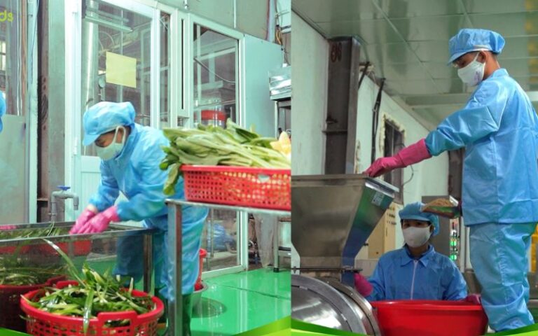 Quy trình sản xuất hạt nêm rau củ Fujafoods