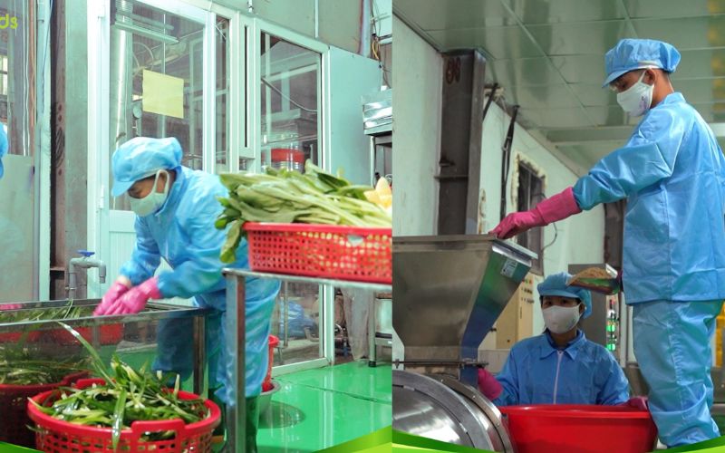 Quy trình sản xuất hạt nêm rau củ Fujafoods